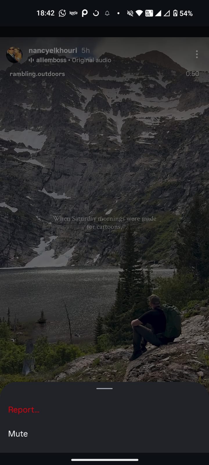 Instagram Story options menu showing Report and Mute options after tapping the 3-dot button